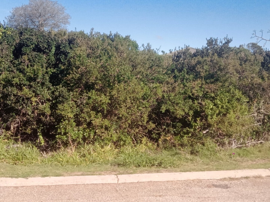 Commercial Property for Sale in Paradise Beach Eastern Cape